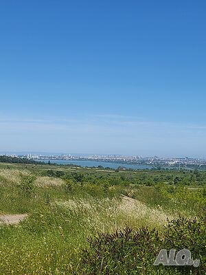 image_17