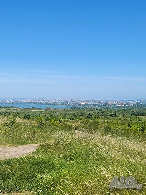 image_18