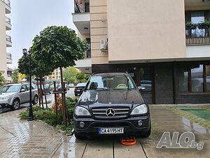 image_11