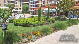 image_42