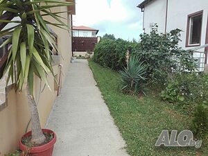 image_37