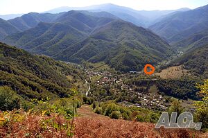 image_23