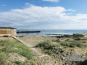 image_12