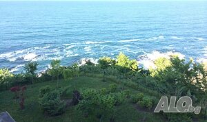 image_6