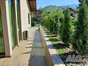 image_23