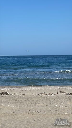 image_18