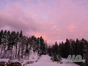 image_51