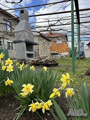 image_16