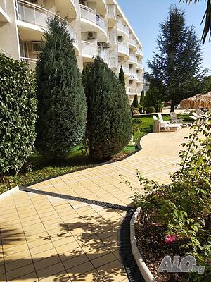 image_11