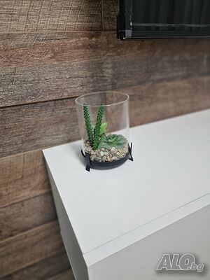 image_8