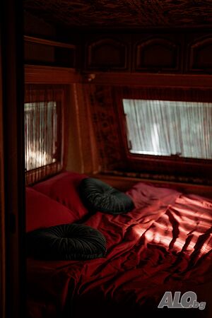 image_9