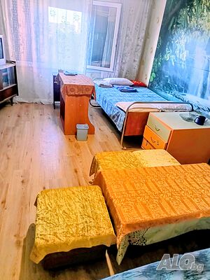 Стая под наем Самостоятелна стая под наем