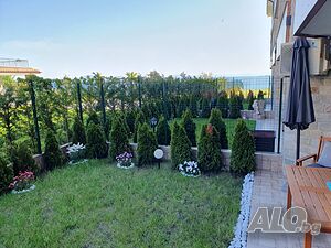 image_17