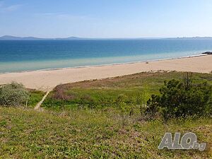 image_19