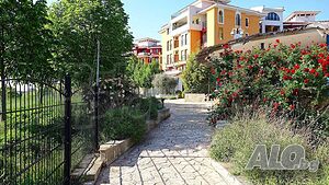 image_26