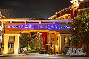 image_46