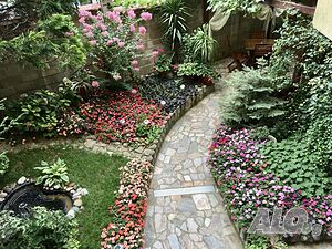image_23