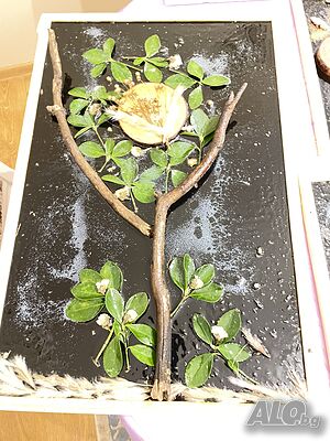 image_47
