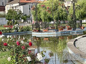 image_52