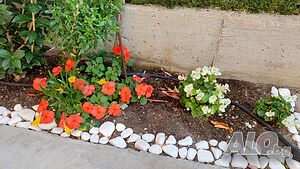 image_19