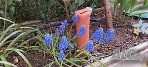 image_21