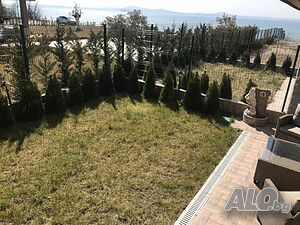 image_5