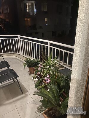 image_12