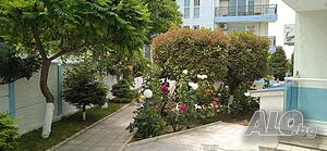 image_14