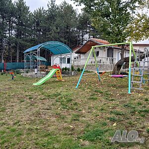 image_46