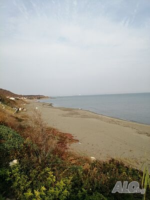 image_14