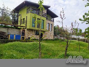 image_5