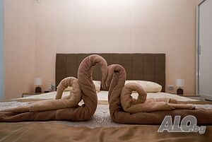 image_14