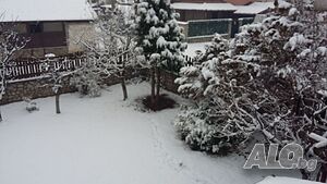 image_12