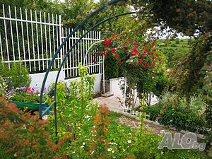image_47