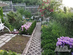 image_54