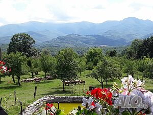 image_2