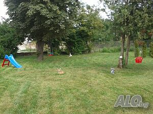 image_21