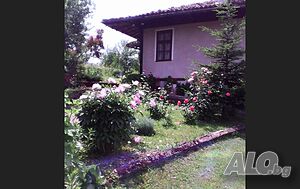 image_14