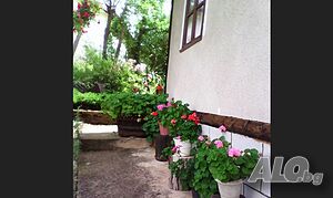 image_13