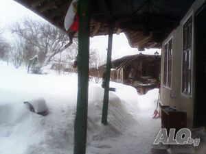 image_6