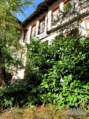 image_6