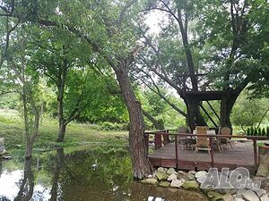 image_38
