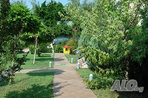 image_17