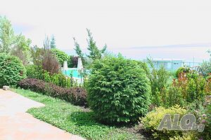 image_21