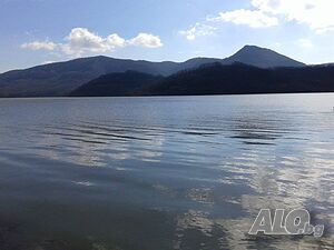 image_8