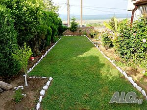 image_5