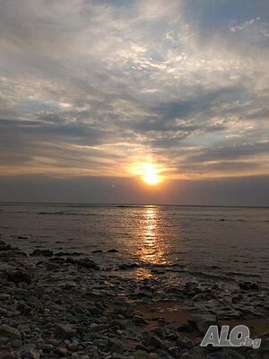 image_49