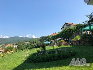 image_7
