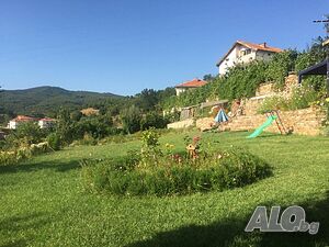 image_12