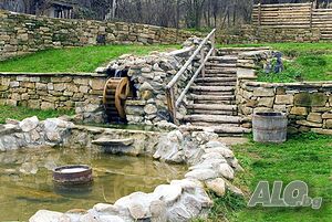 image_29